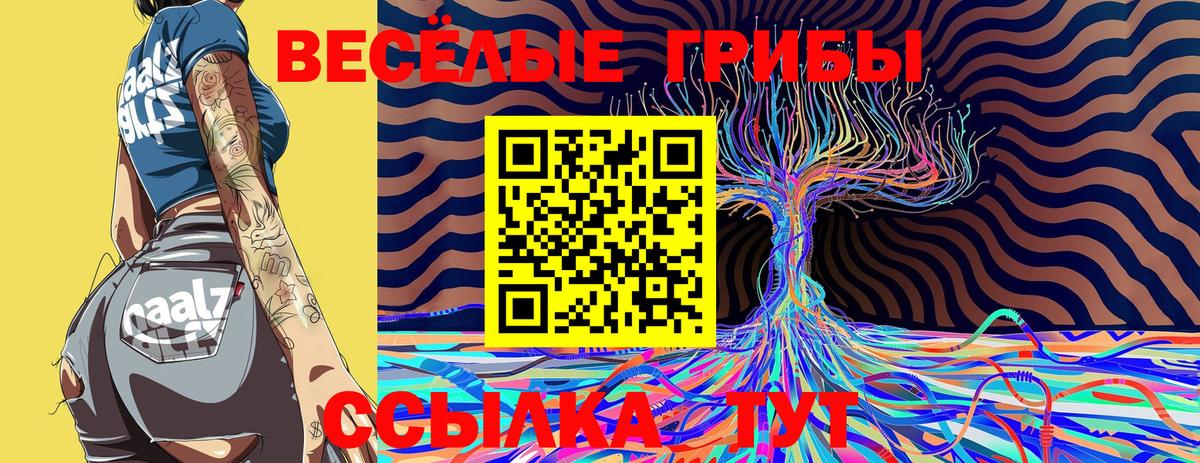 Псилоцибиновые грибы GOLDEN TEACHER  Вход с VPN  магазин продажи   Минусинск 